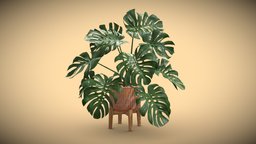 Stand Pot Plant Monstera Deliciosa