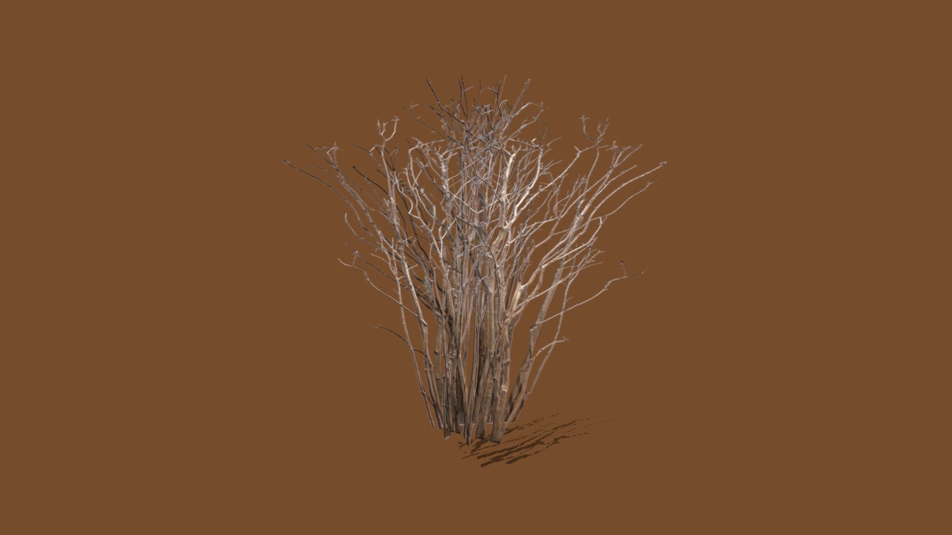 Bush without leaves 3d model