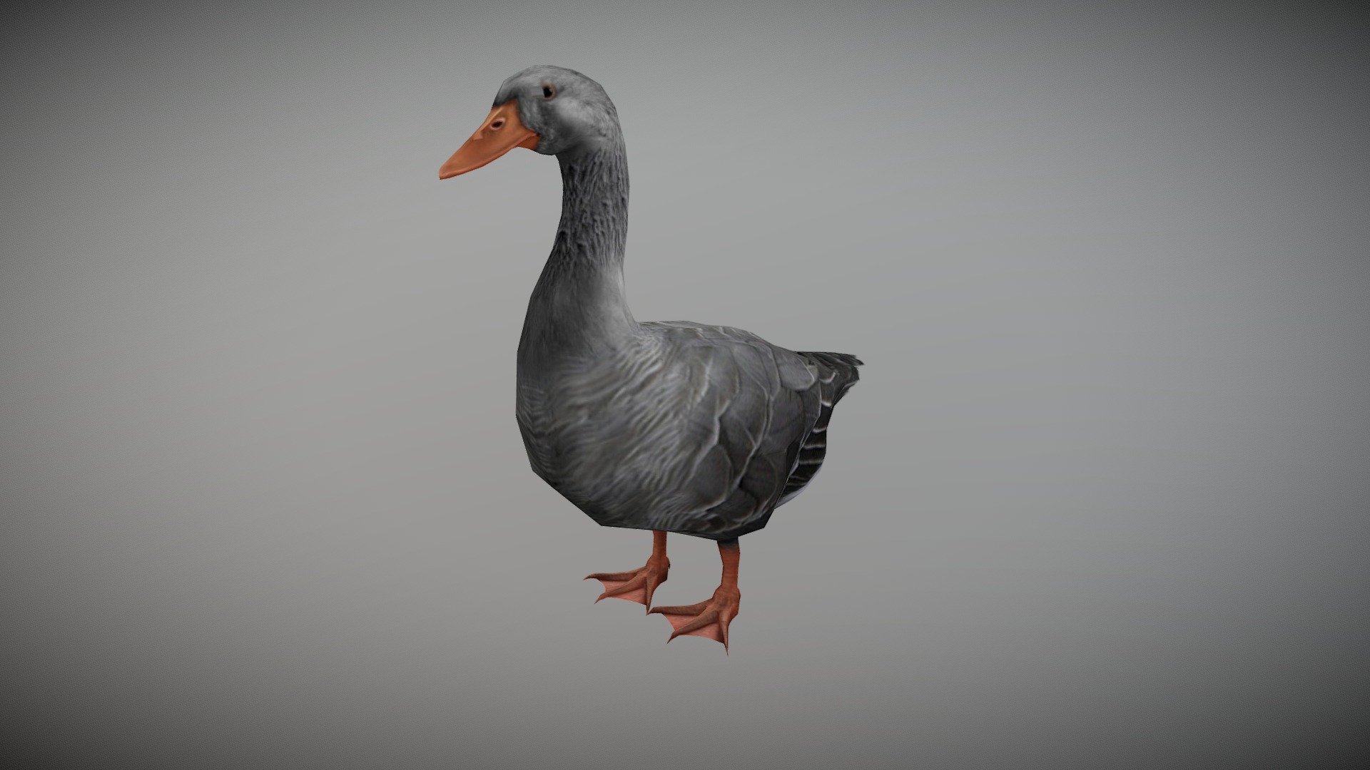 DUCK GRAY ANIMATED 3d model