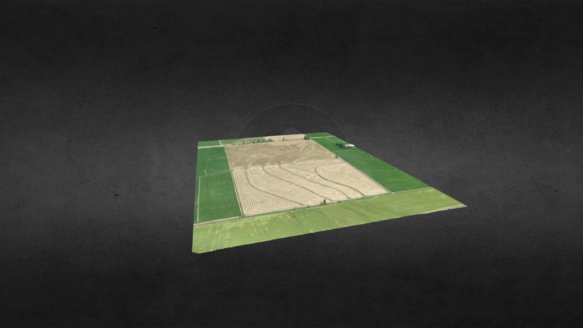 Cultivo de arroz paddy 3d model