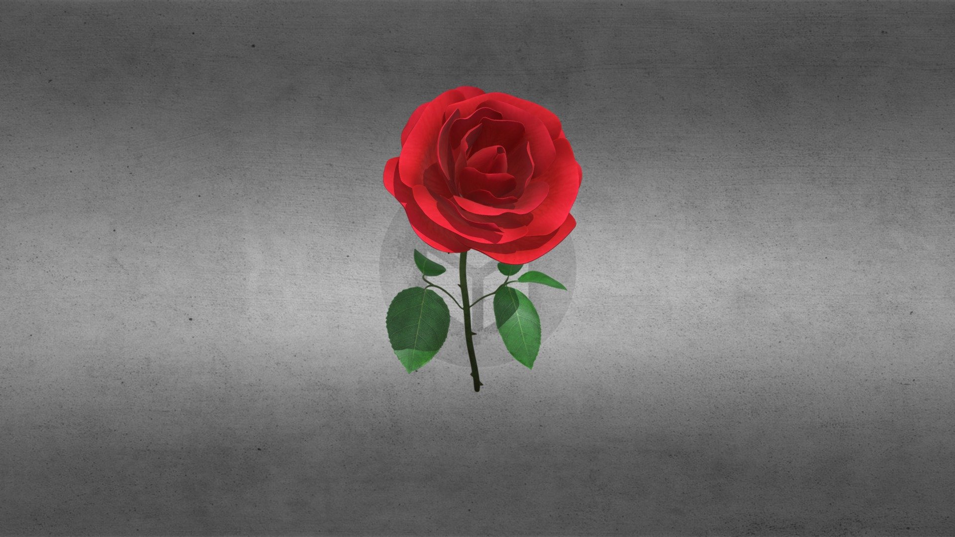 Rose 3d model