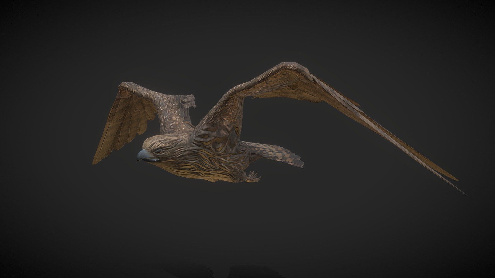 Animals: Hawk 3d model