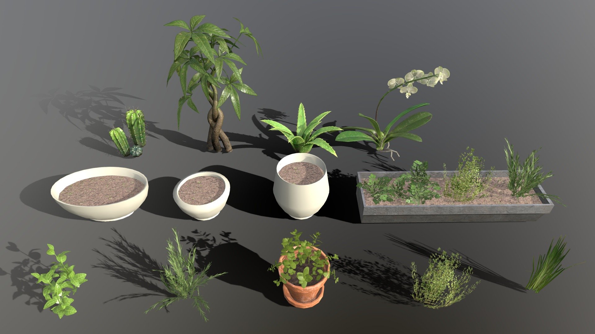 House Plants 3d model