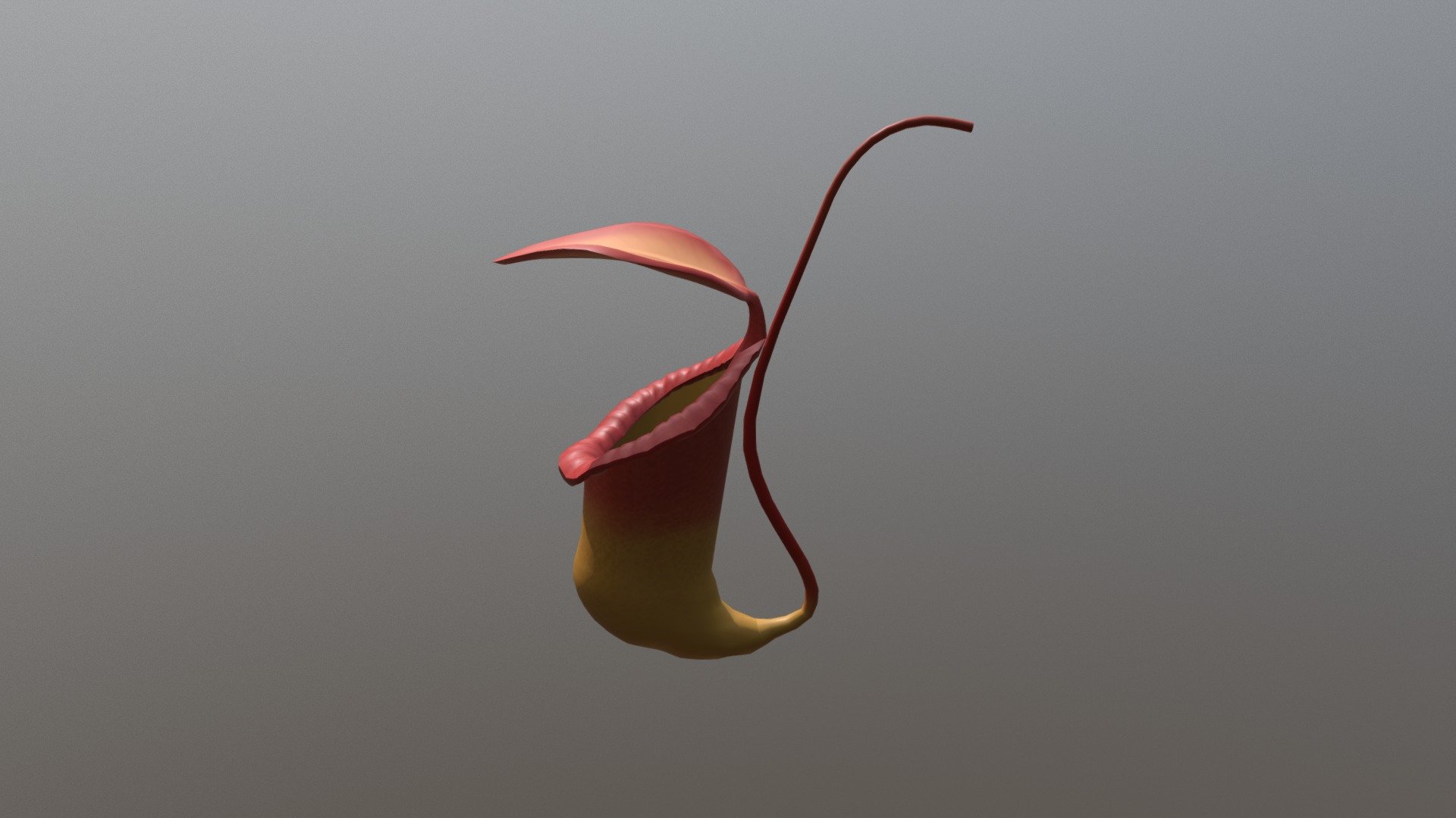 Carnivorous plant 3d model