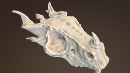 Dragon Skull