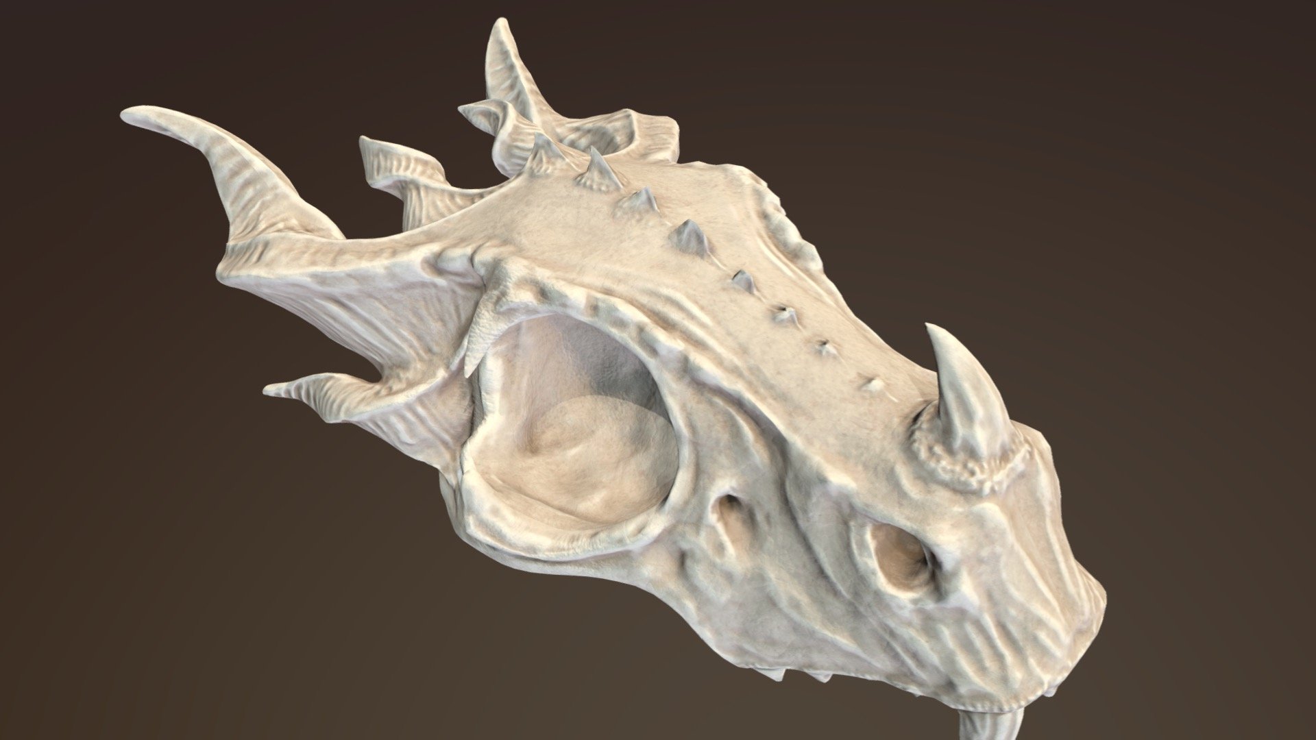 Dragon Skull 3d model