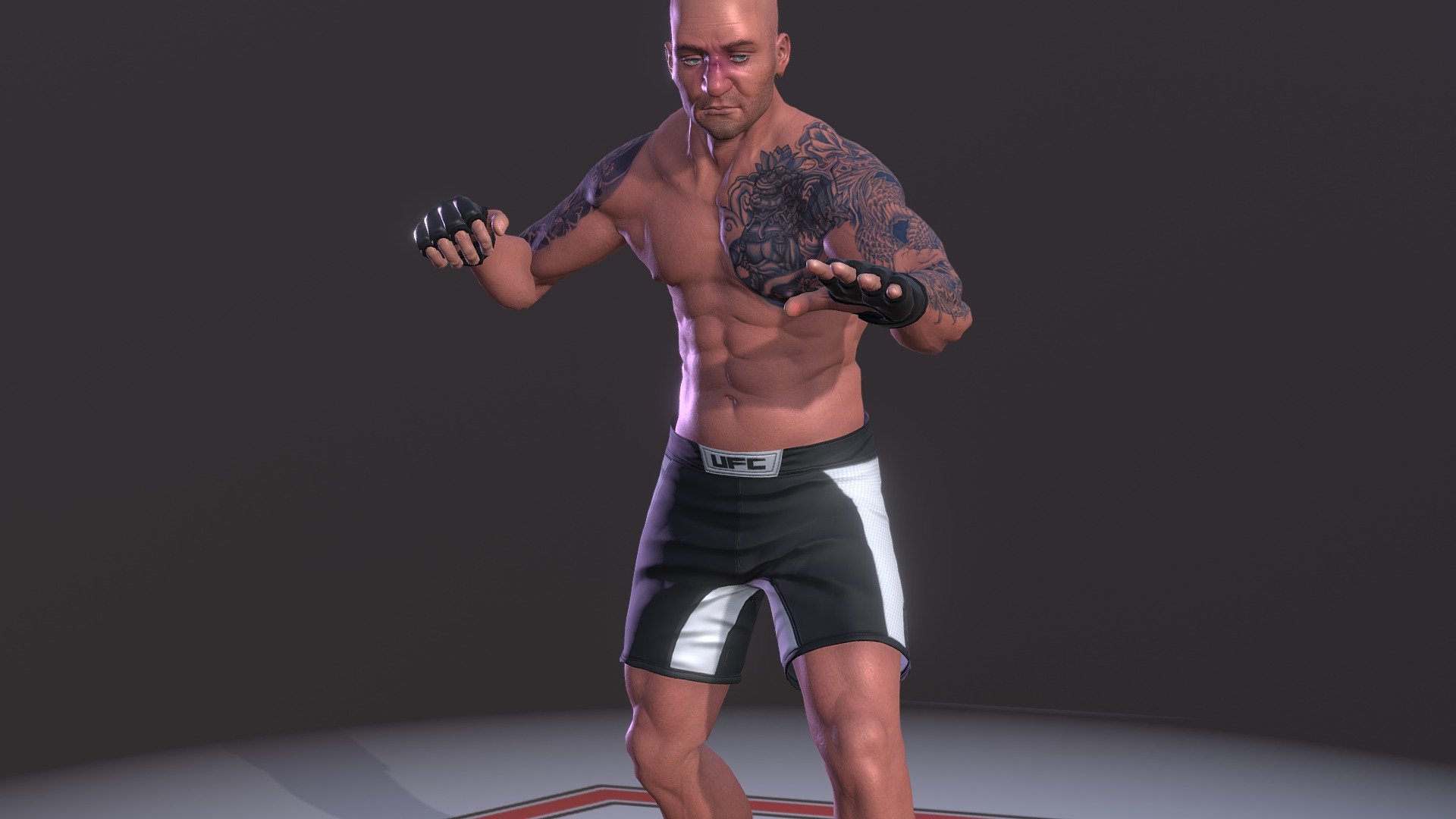 UFC Fighter 3d model