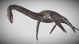 Elasmosaurus Rigged