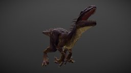 Quill Raptor