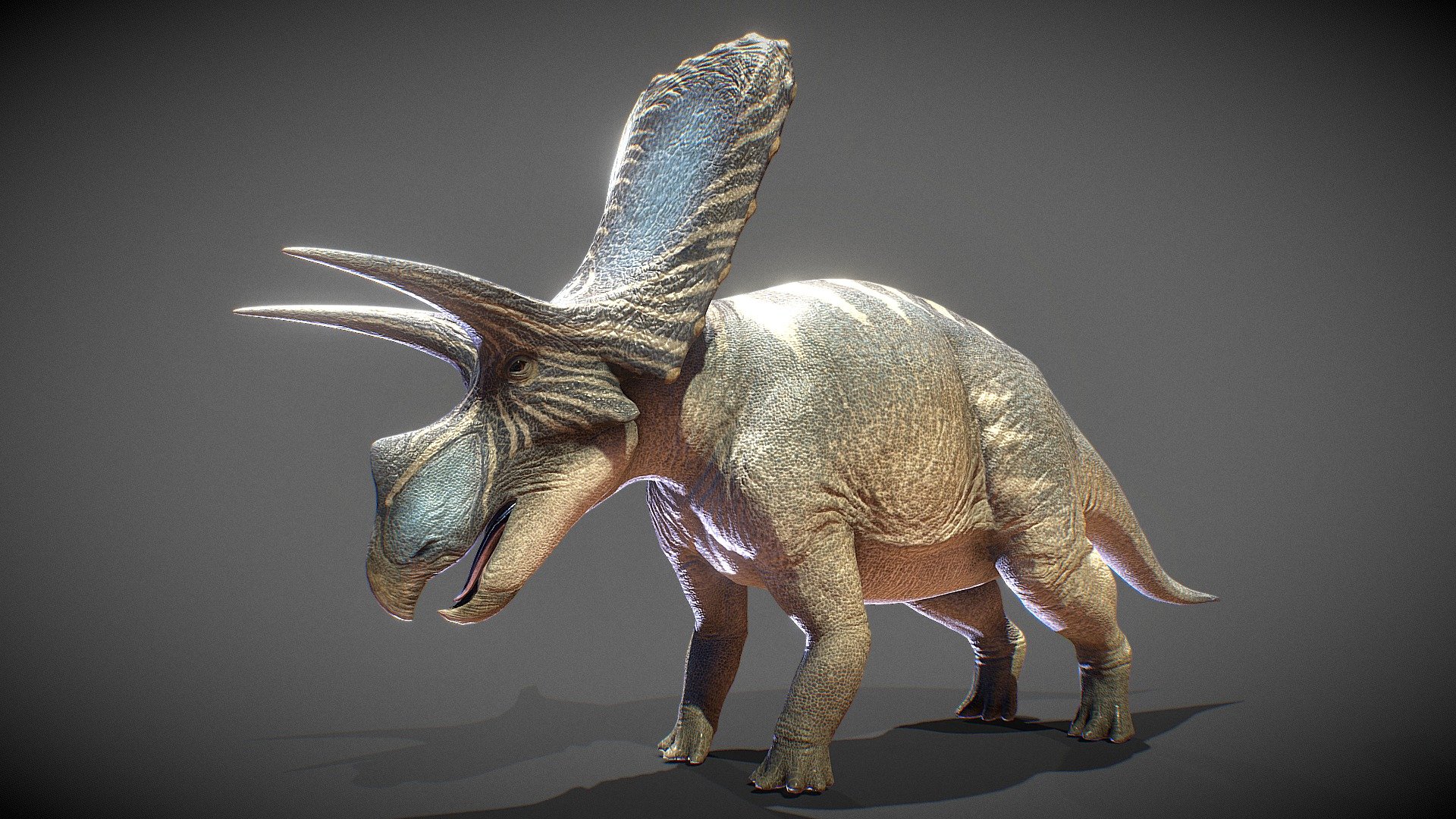 Torosaurus (For animation) 3d model