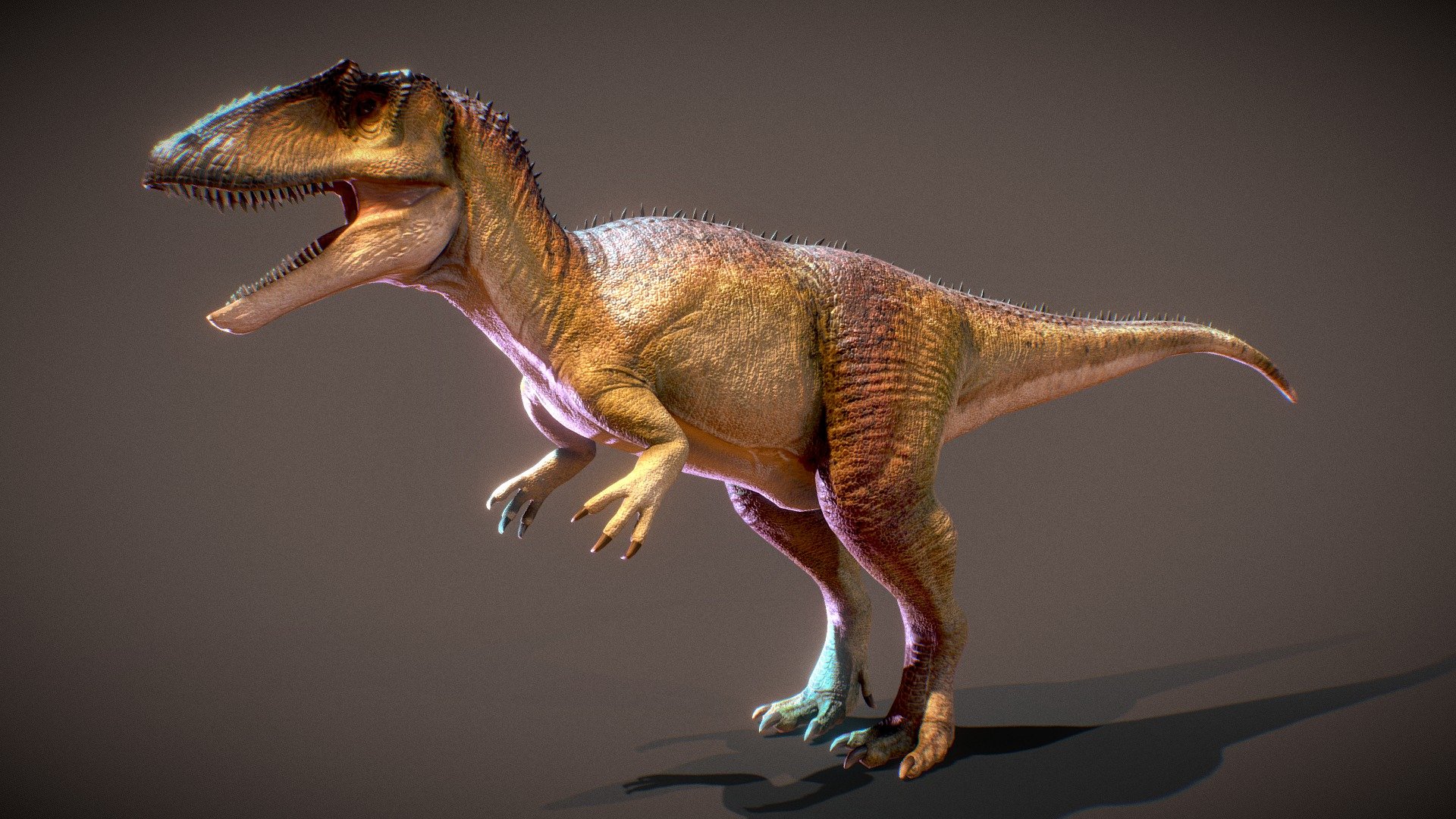 Carcharodontosaurus (For animation) 3d model