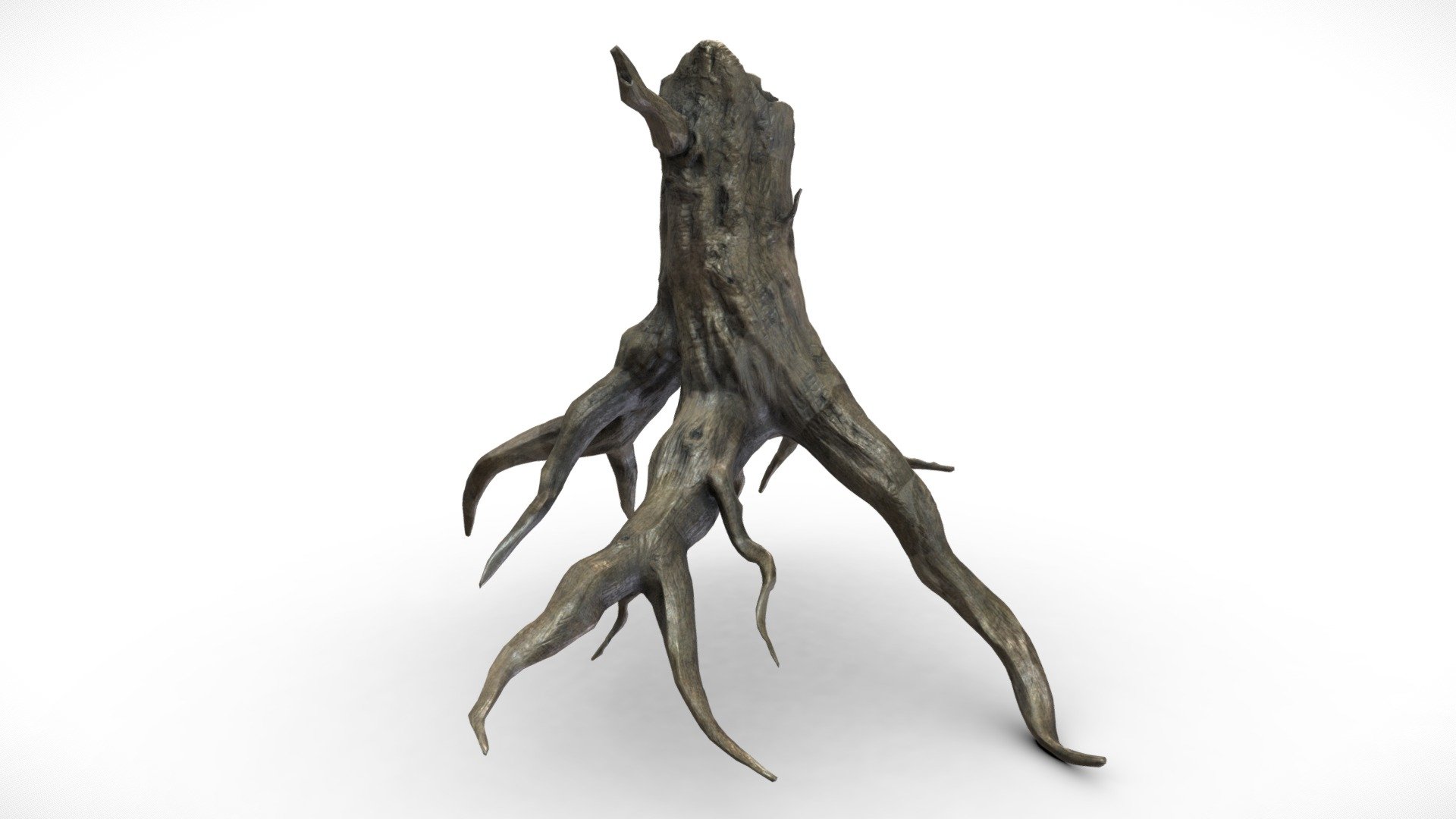 Fantasy Forest Tree Stump C 3d model