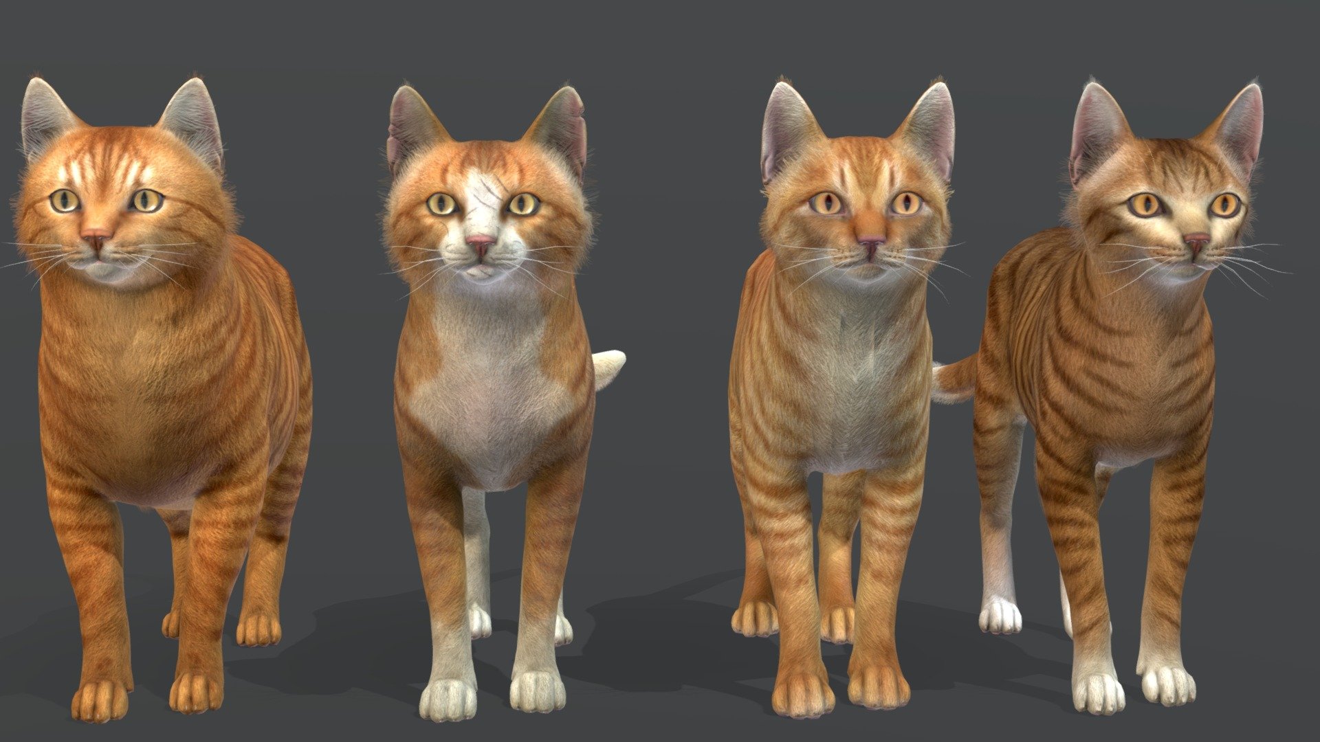 Cats Pack 1 3d model