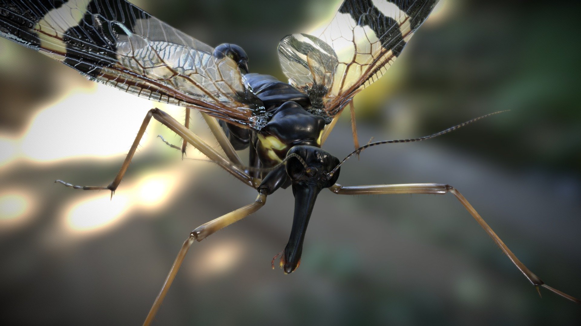 Mecoptera-Scorpion Fly 3d model