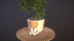 ceramic_pot