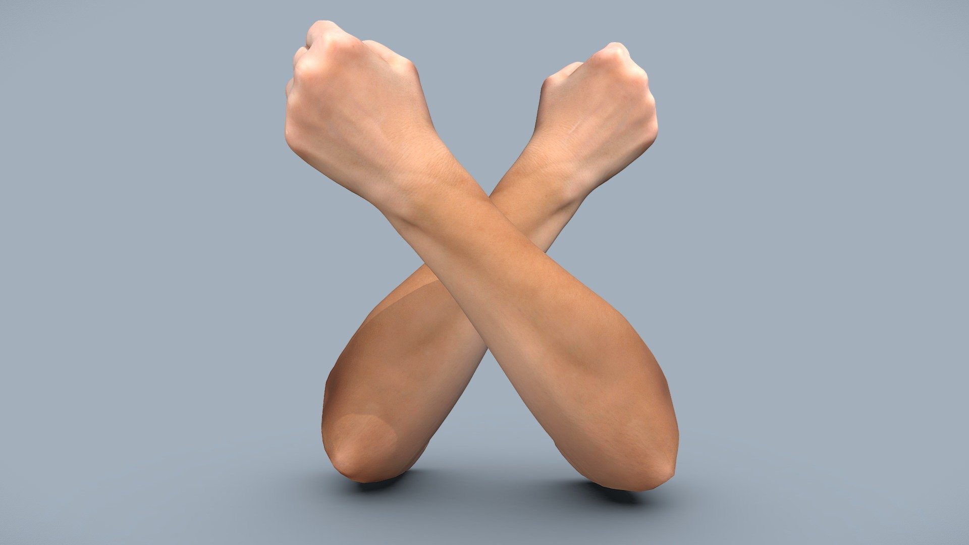 Female forearms 3d model