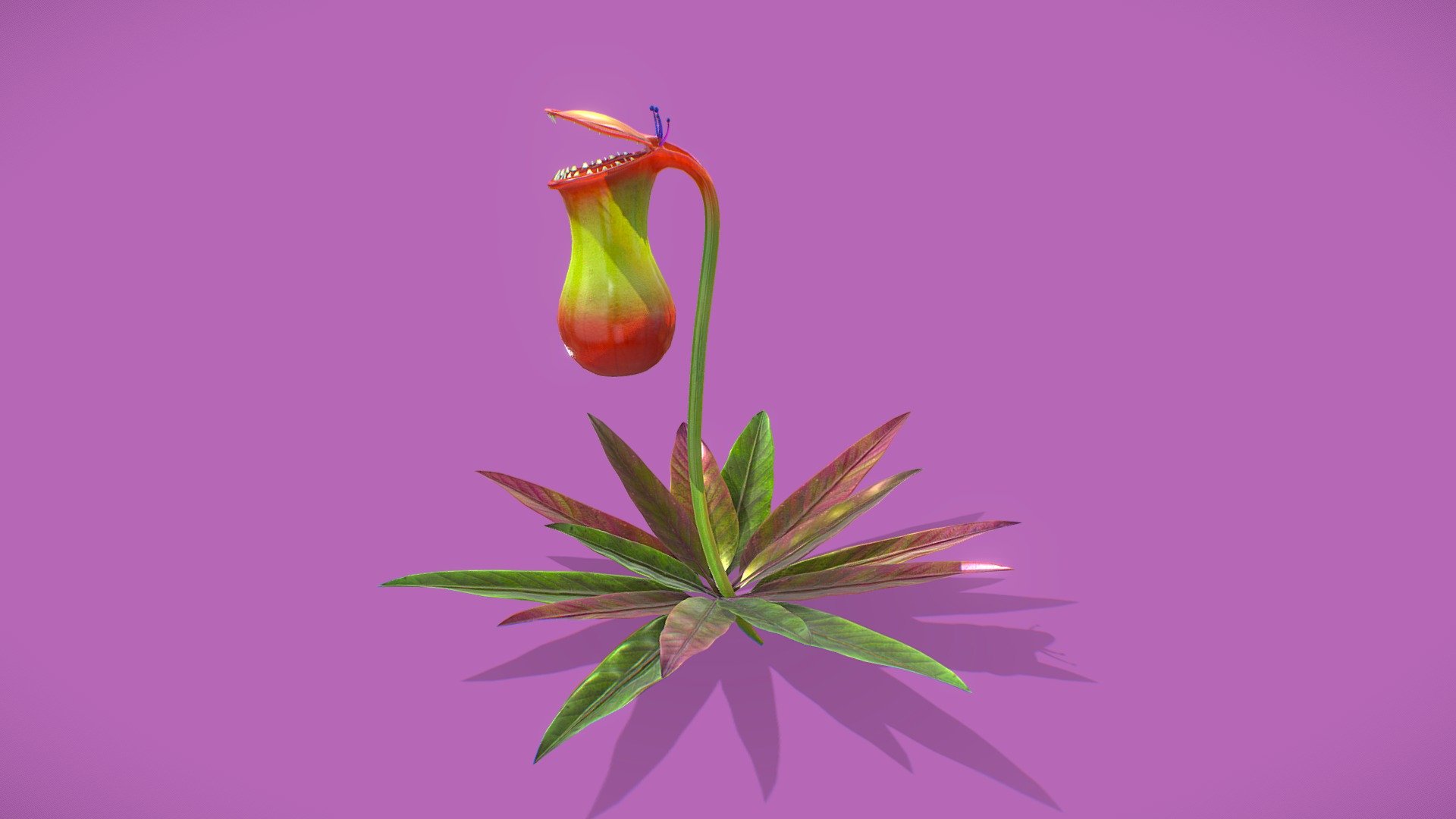 nepenthes 3d model