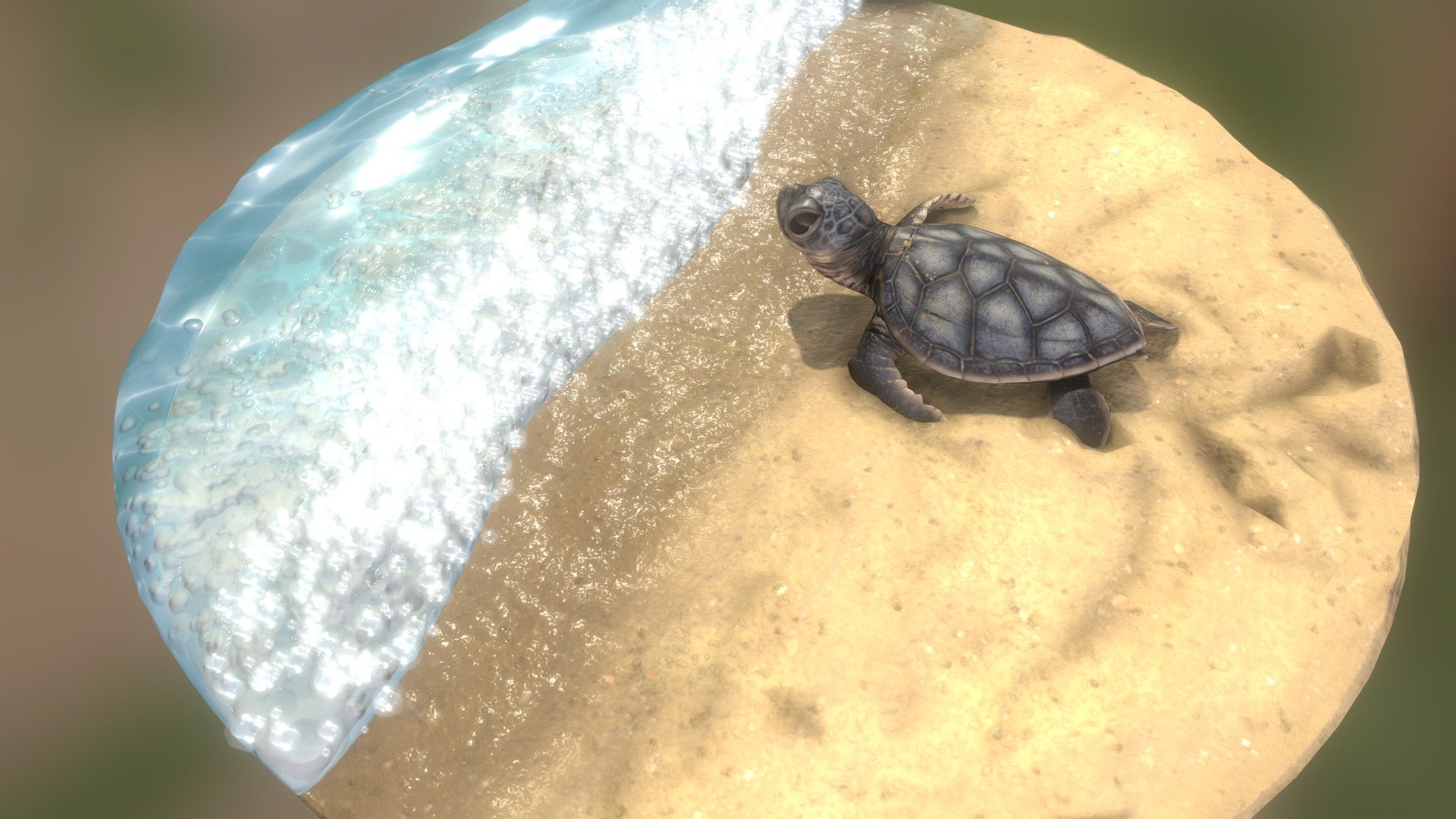 Baby sea turtle 3d model