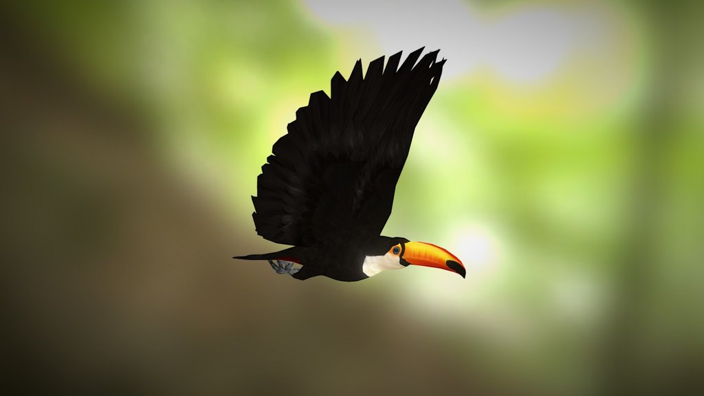 Toucan 3d model