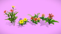 flower pack