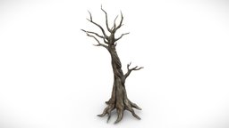 Fantasy Dark Forest Tree G