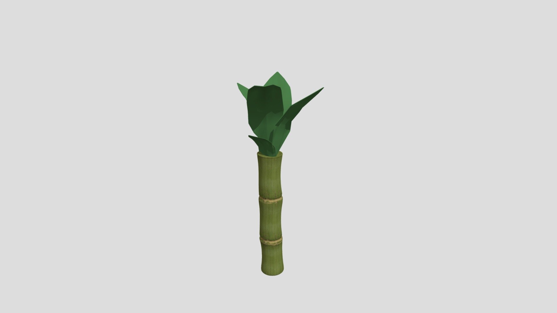 Bamboo3 3d model