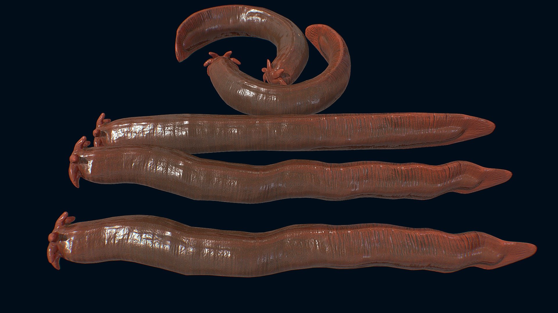 Hagfish 3d model