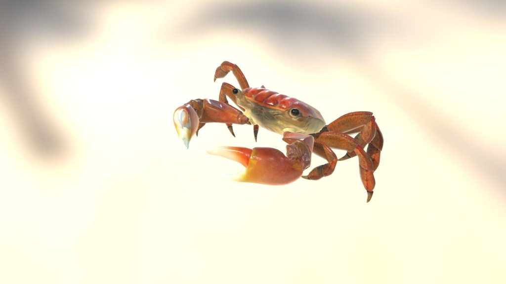 Crab 3d model