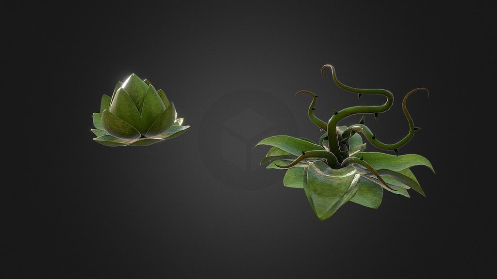 Roots 3d model