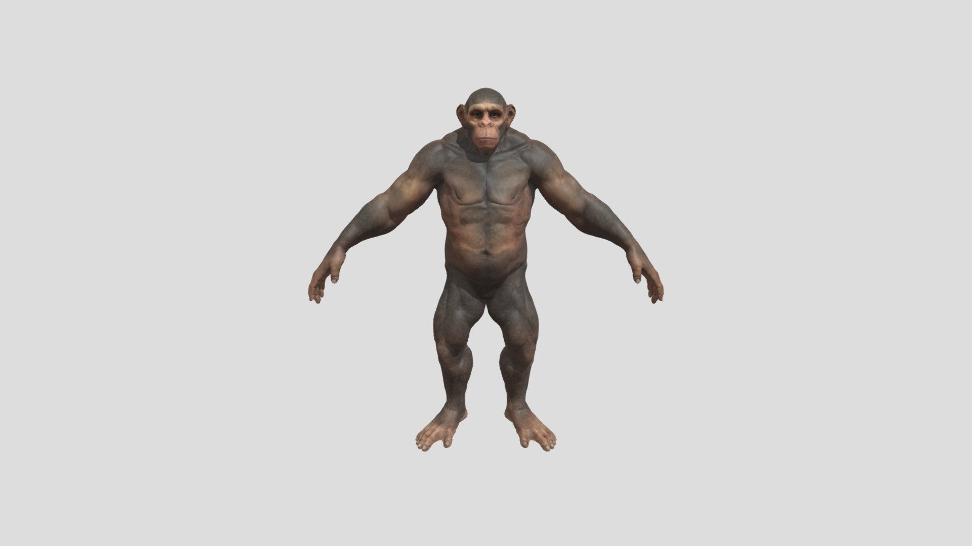 monkey ape Muscular 3d model