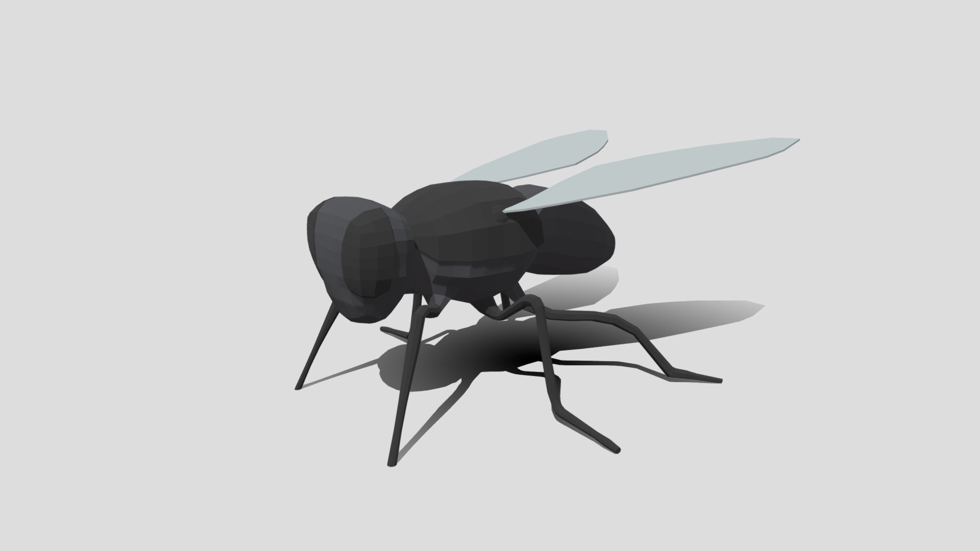 Low Poly Cartoon Fly 3d model