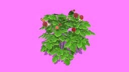 berry tree