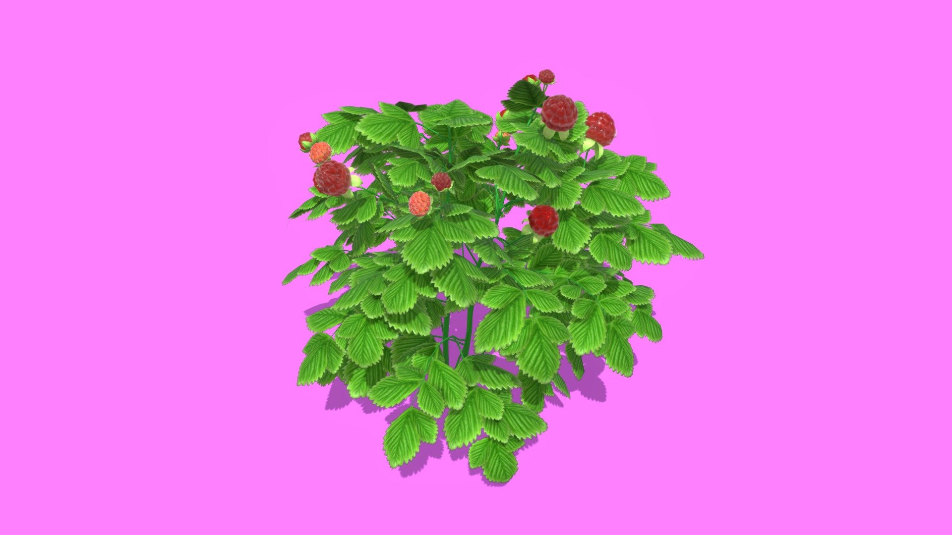 berry tree 3d model