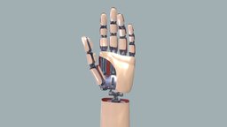 Bionic Hand