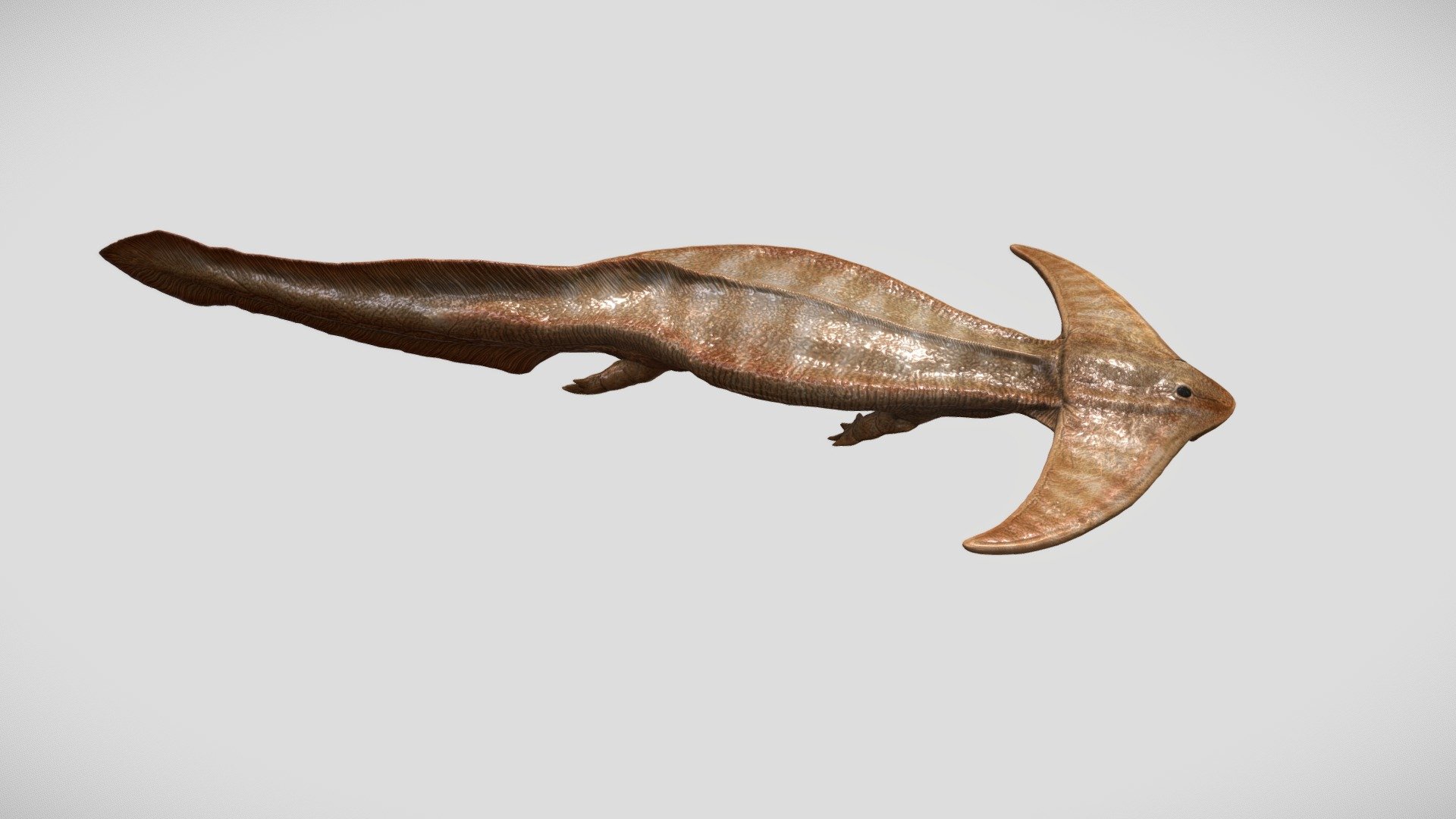 Diplocaulus 3d model