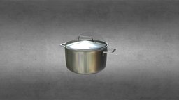 Stainless Steel Cooking Pot