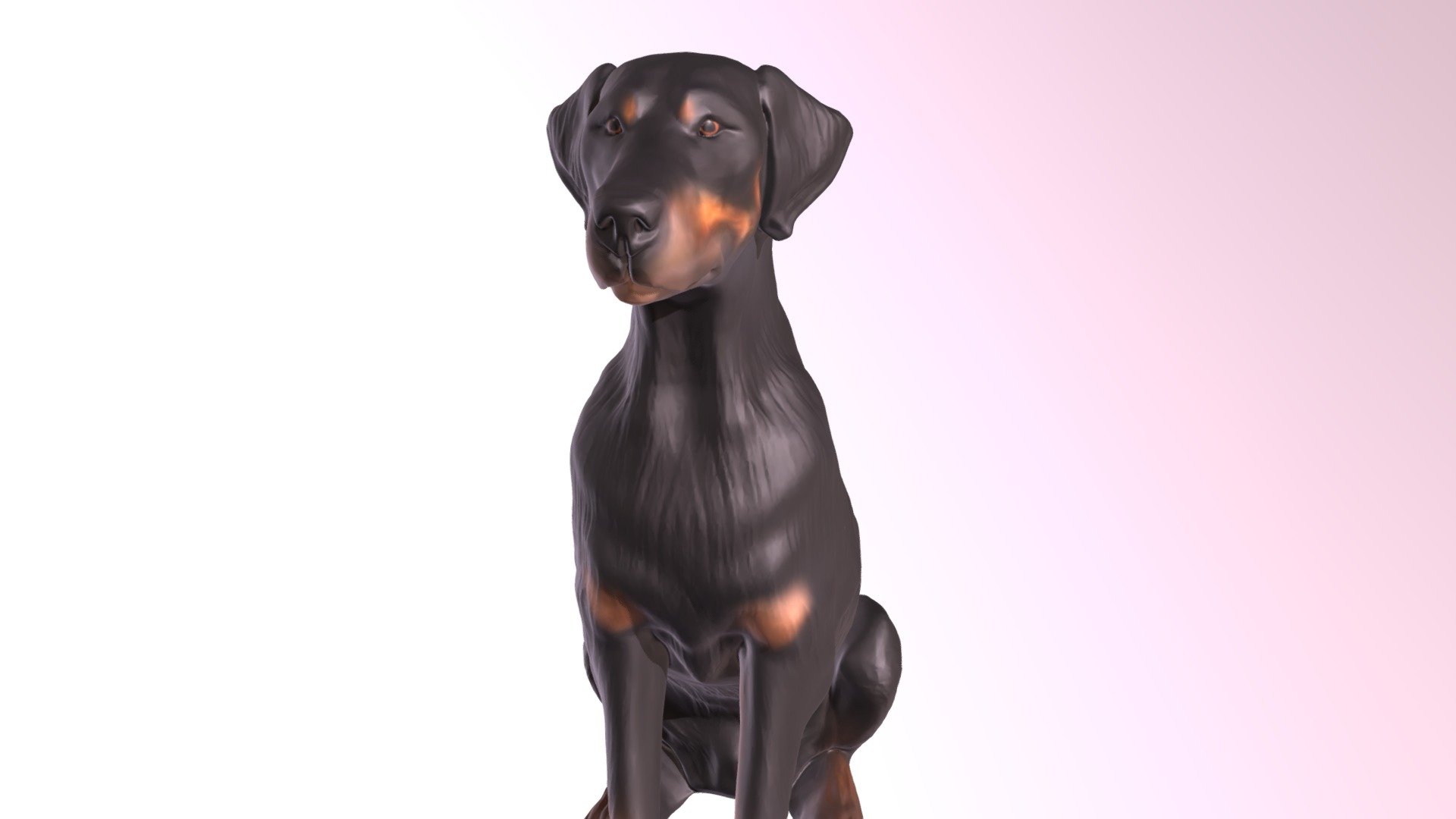 1810006- Torin- Doberman 3d model