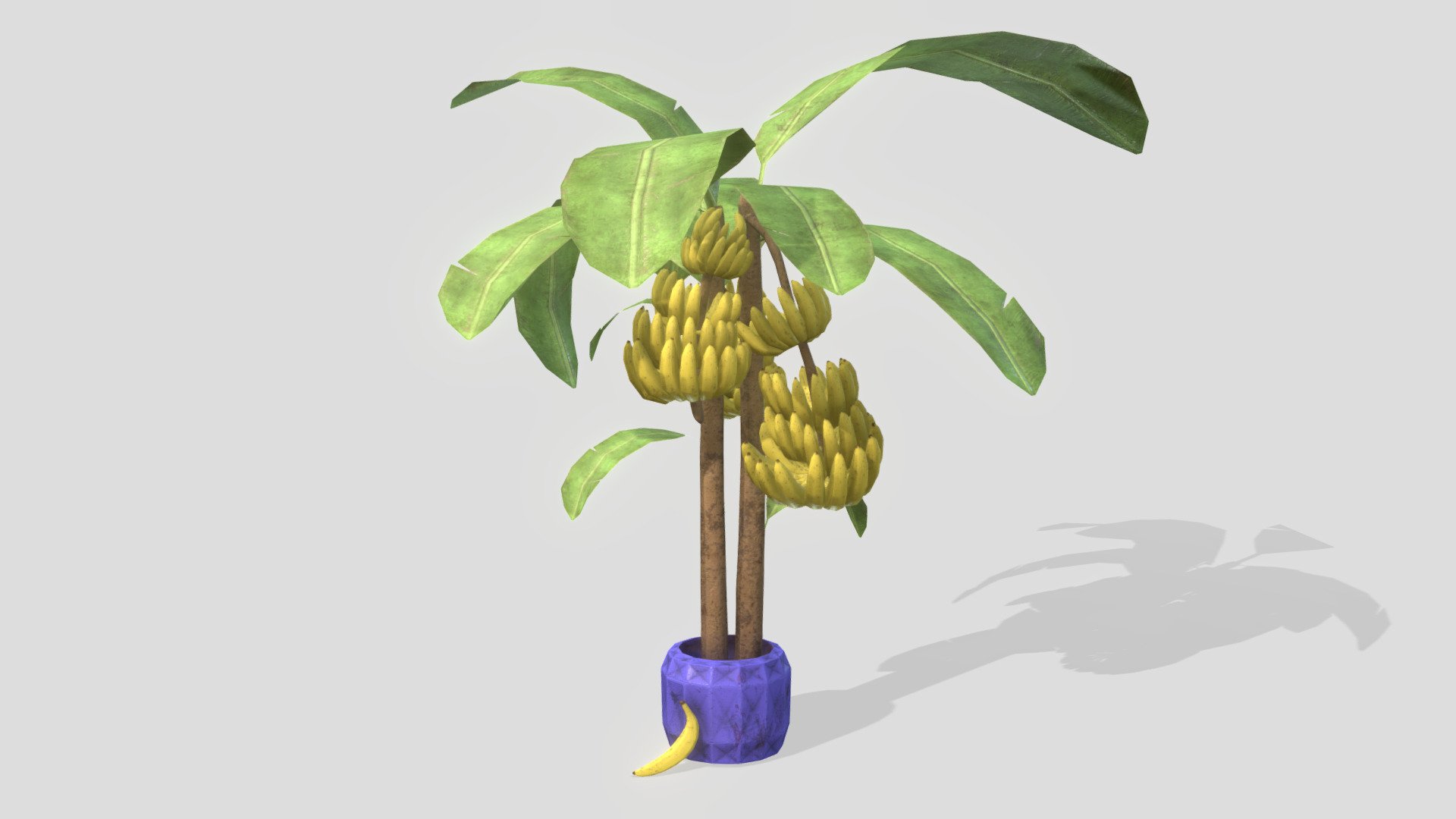 Banana Tree 3d model