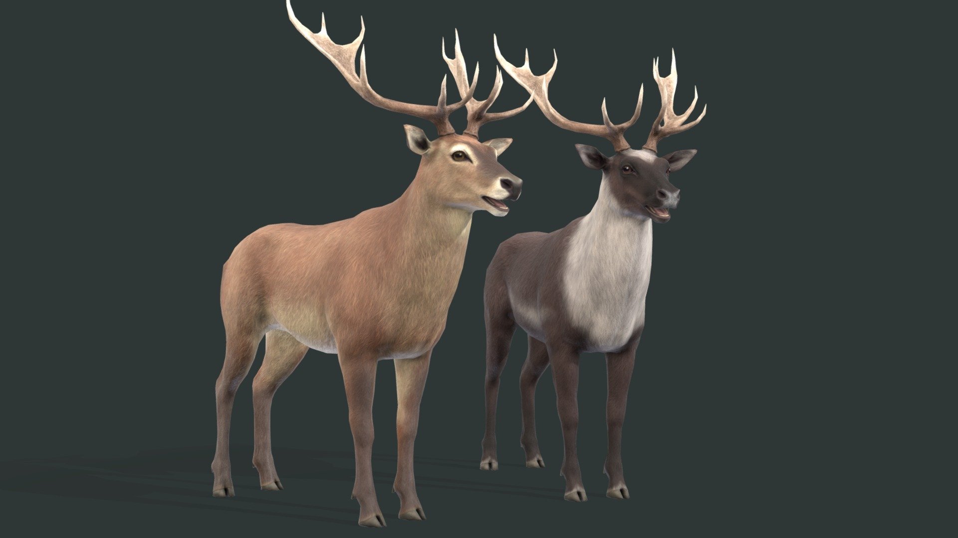 Deer texture test 3d model