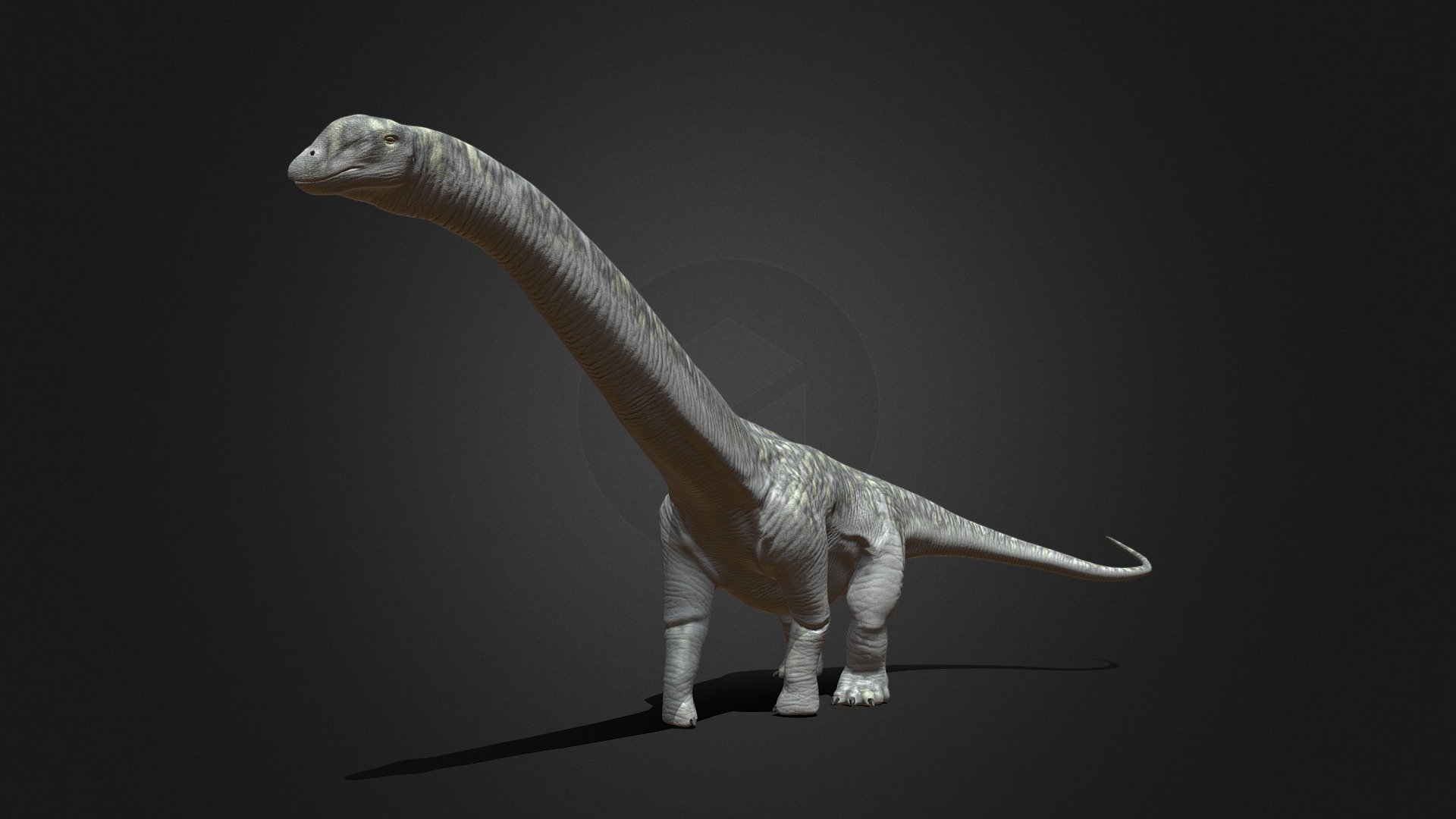 Argentinosaurus 3d model