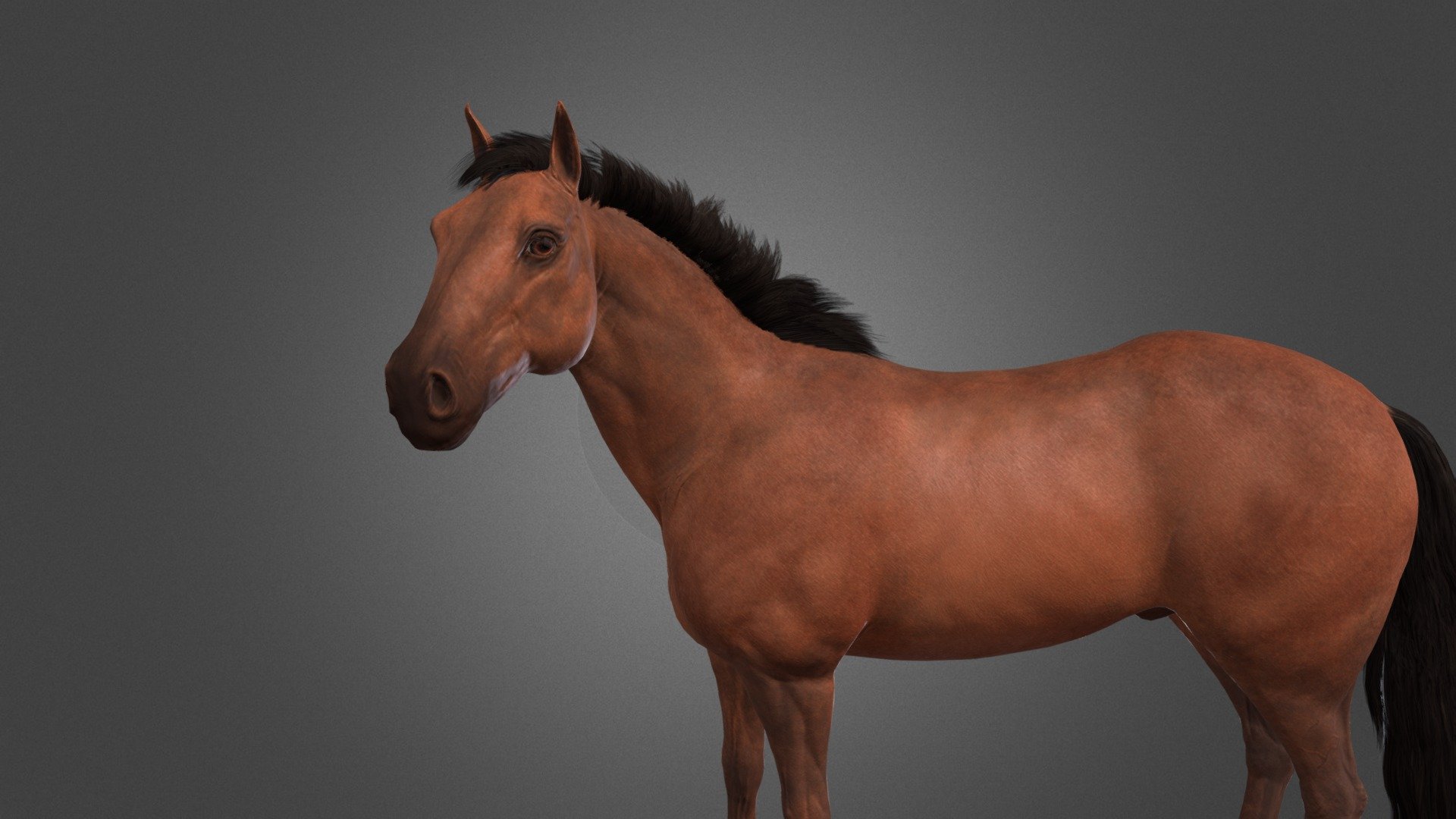 High detailed brown horse 3d model