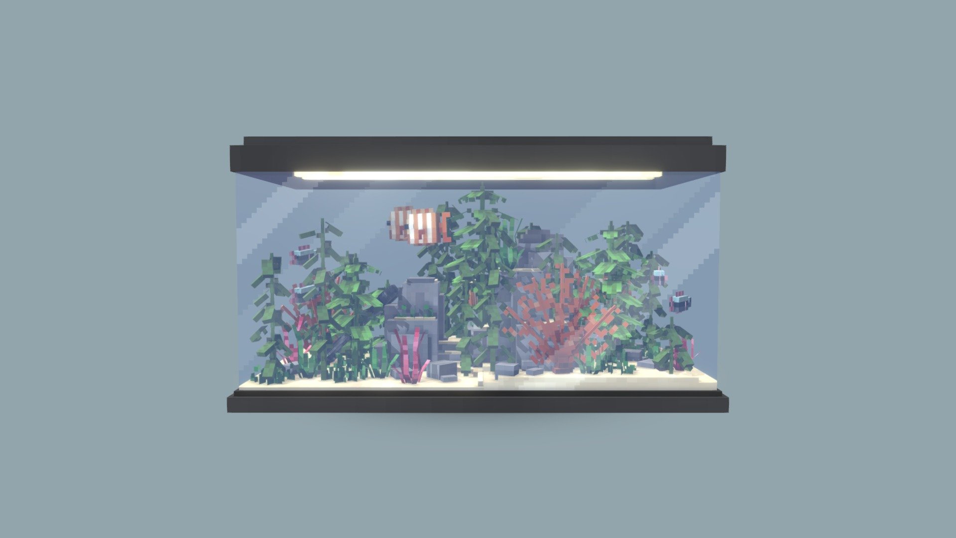 Aquarium 3d model