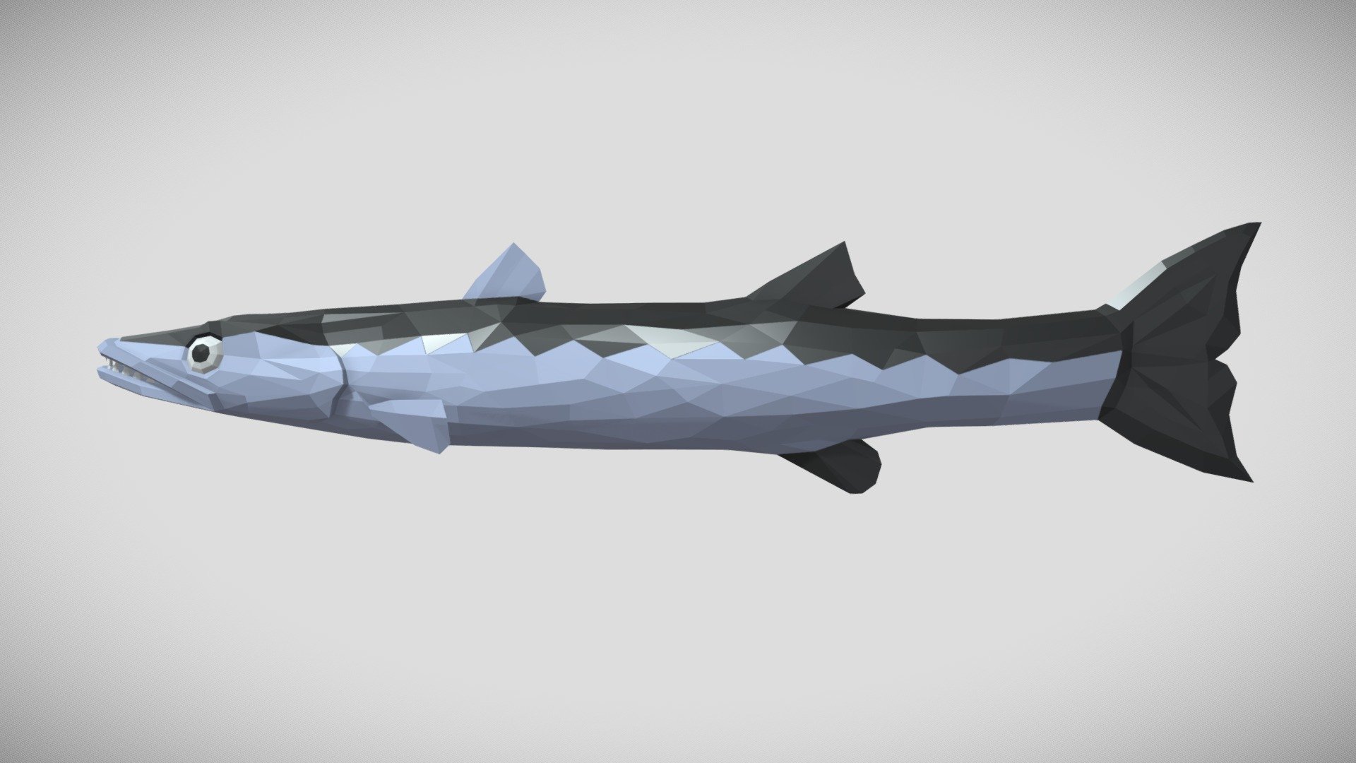 [Low Poly] Barracuda 3d model