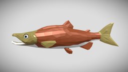 [Low Poly] Salmon