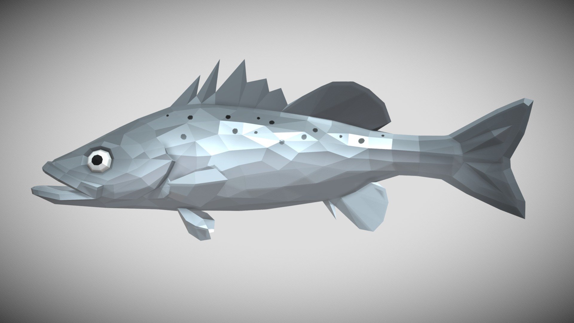 [Low Poly] Seabass 3d model