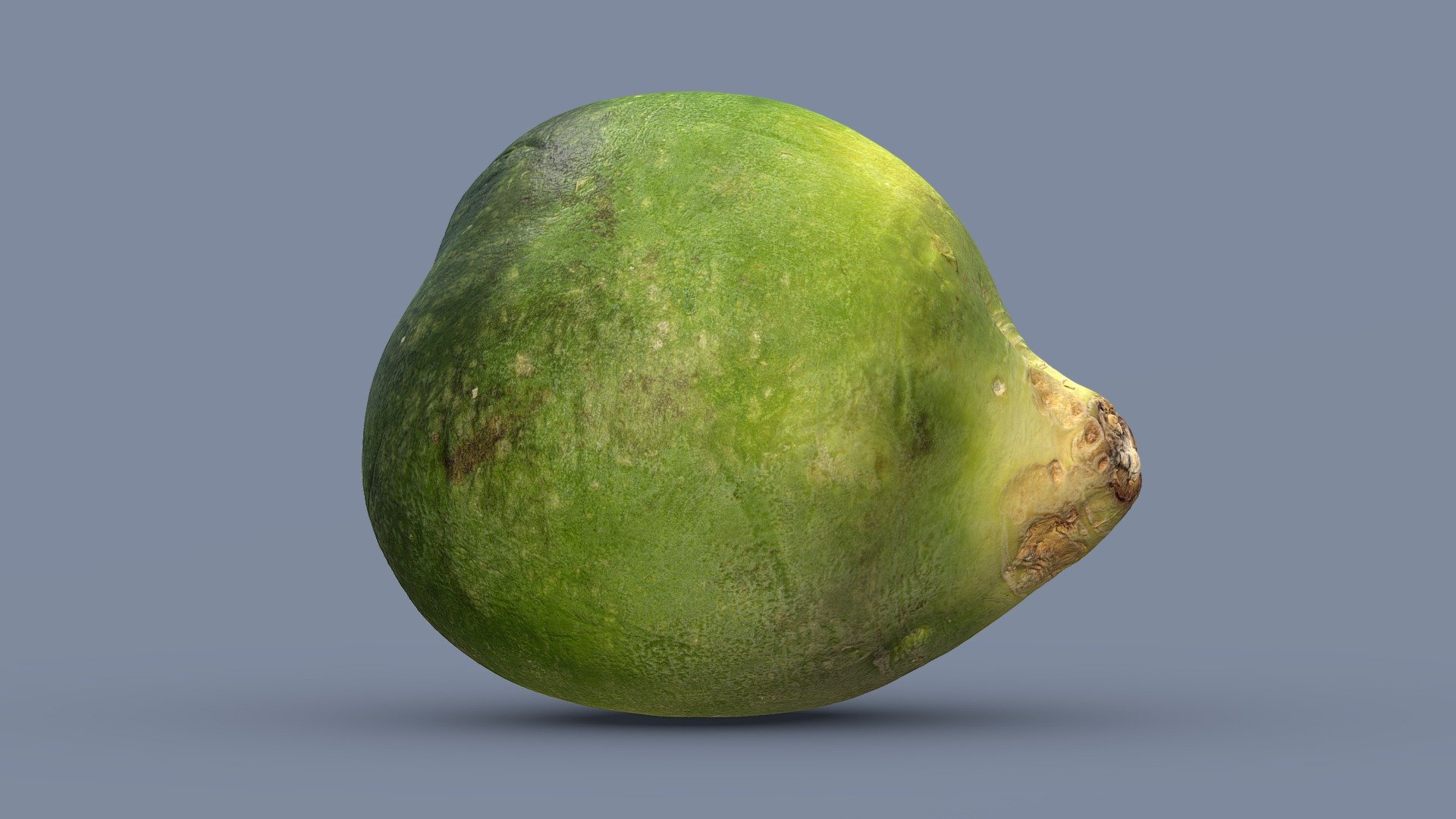 Radish 3d model