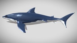 [Low Poly] Shark