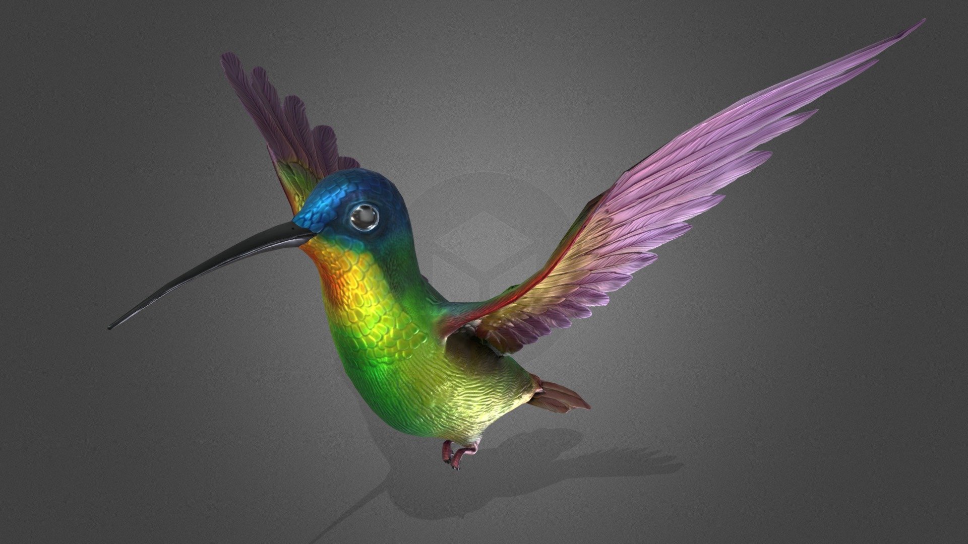 High detailed flying bird 3d model