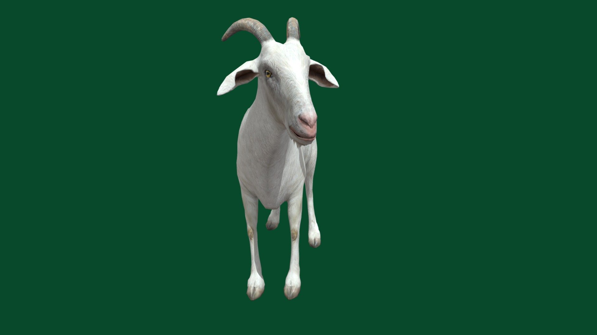 Alpine Goat (Non-commercial) 3d model