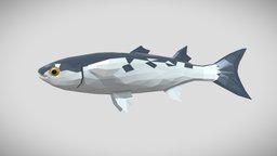 [Low Poly] Mugil